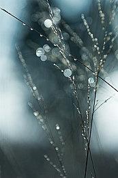 《NBA 2K22》已加入XGP 支持XSX＆XSS＆XB1